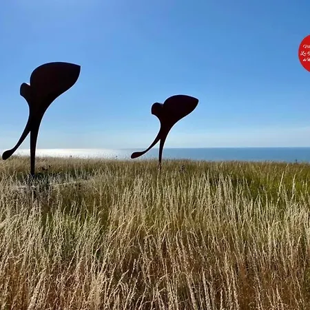 Les Bleus D'albatre * Mers-les-Bains